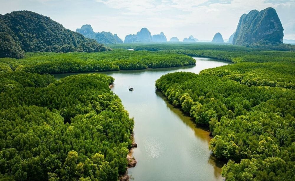 a boat floating through Thailand's waterways