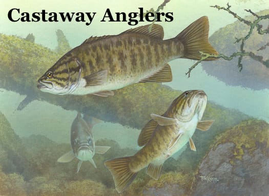 Micropterus_dolomieu2
