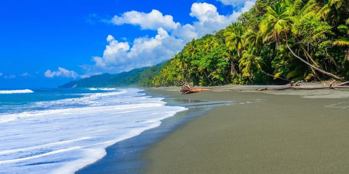 a stretch of green sand beach among a bright blue sky
