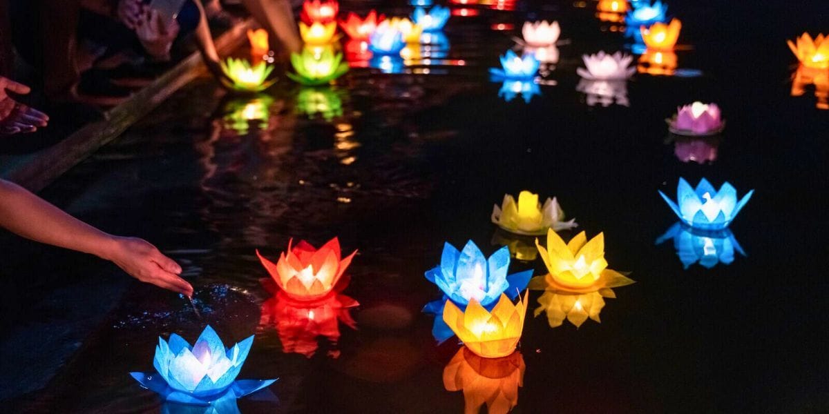 Lotus lights