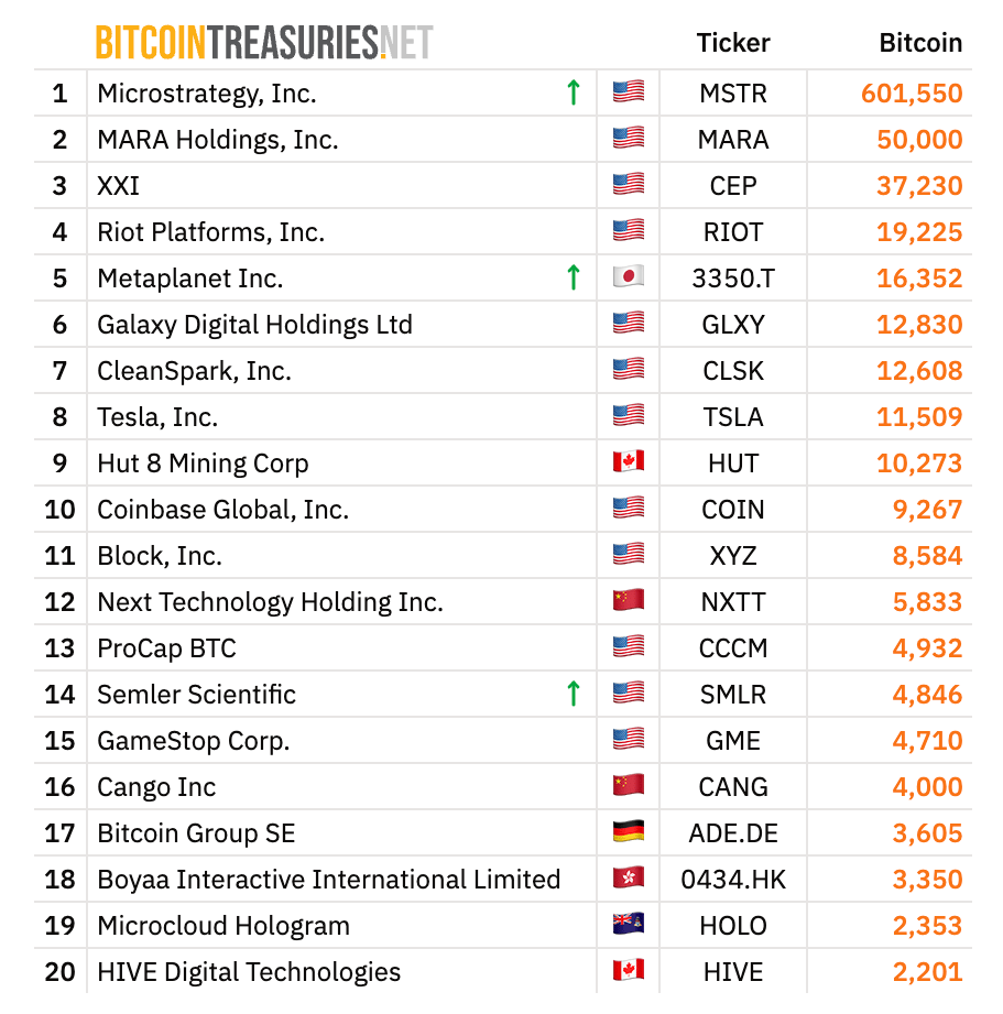 Leaderboard risks
