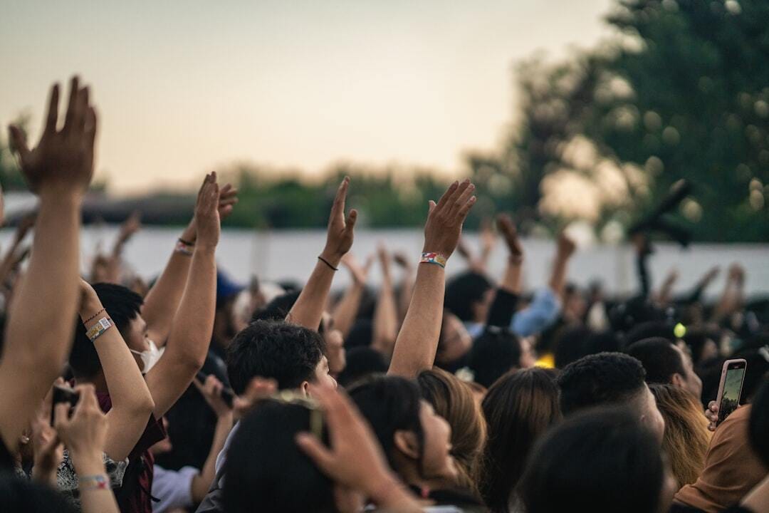 “How is it that music can, without words, evoke our laughter, our fears, our highest aspirations?” – Jane Swan