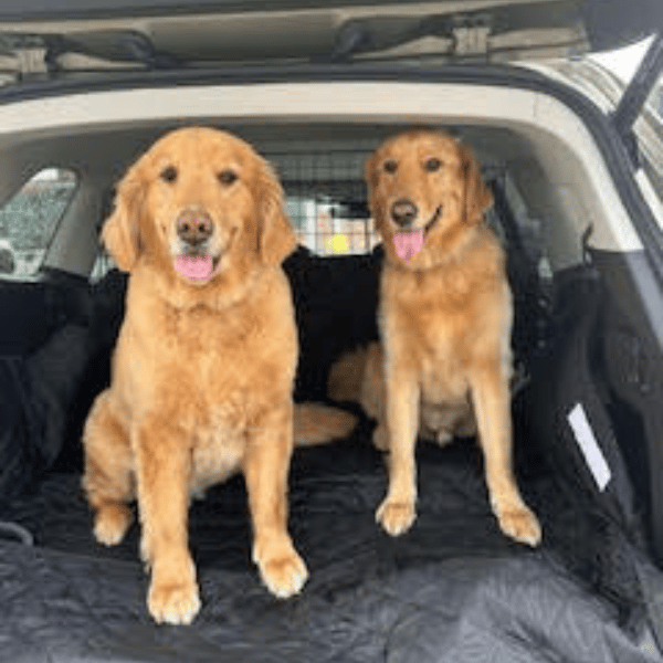 Winston & Rosie