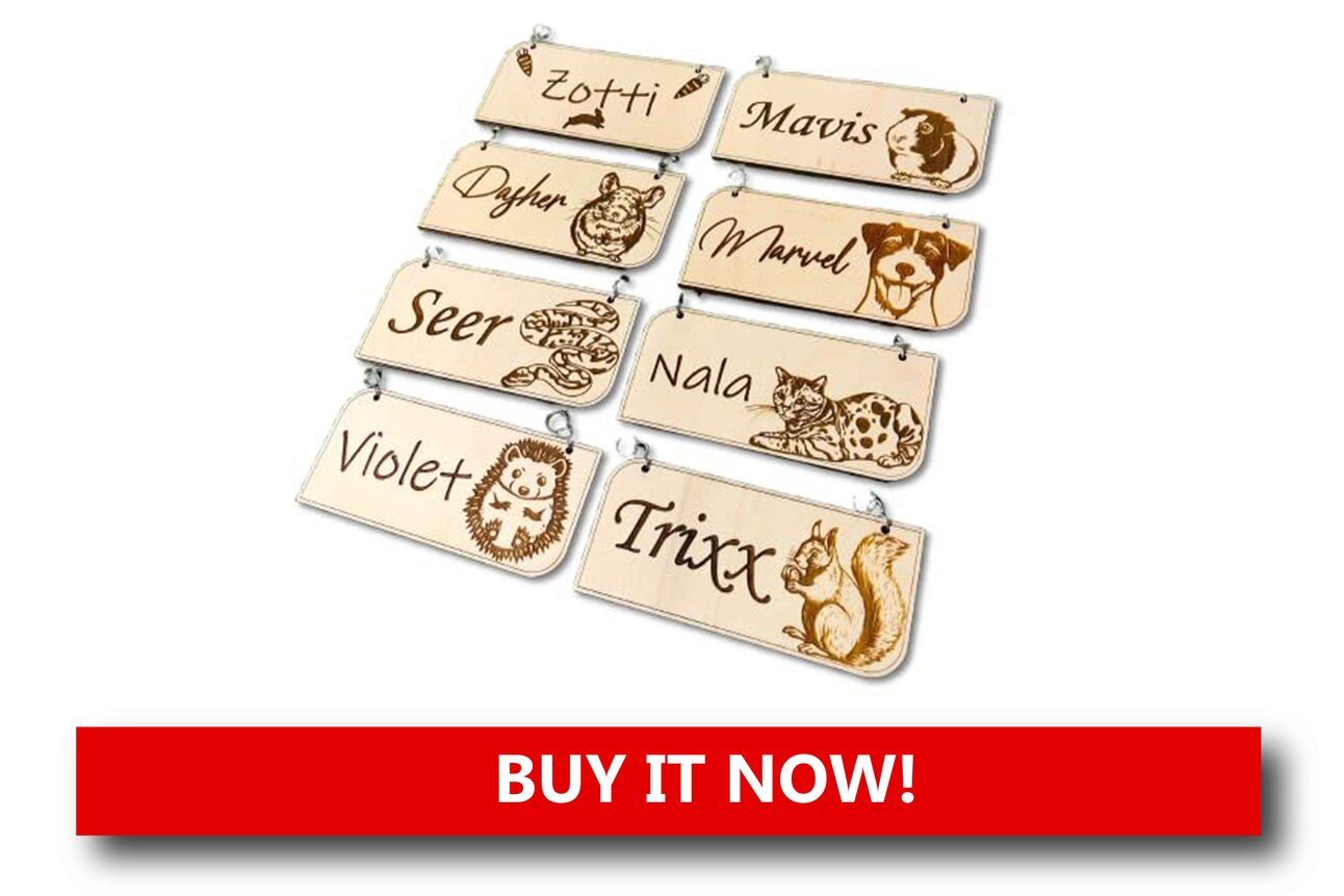 Personalized Ferret Name Sign Alt text: A custom wooden or acrylic name sign reading “Bandit’s Playpen” hanging above a ferret cage, with engraved letters and a playful silhouette.