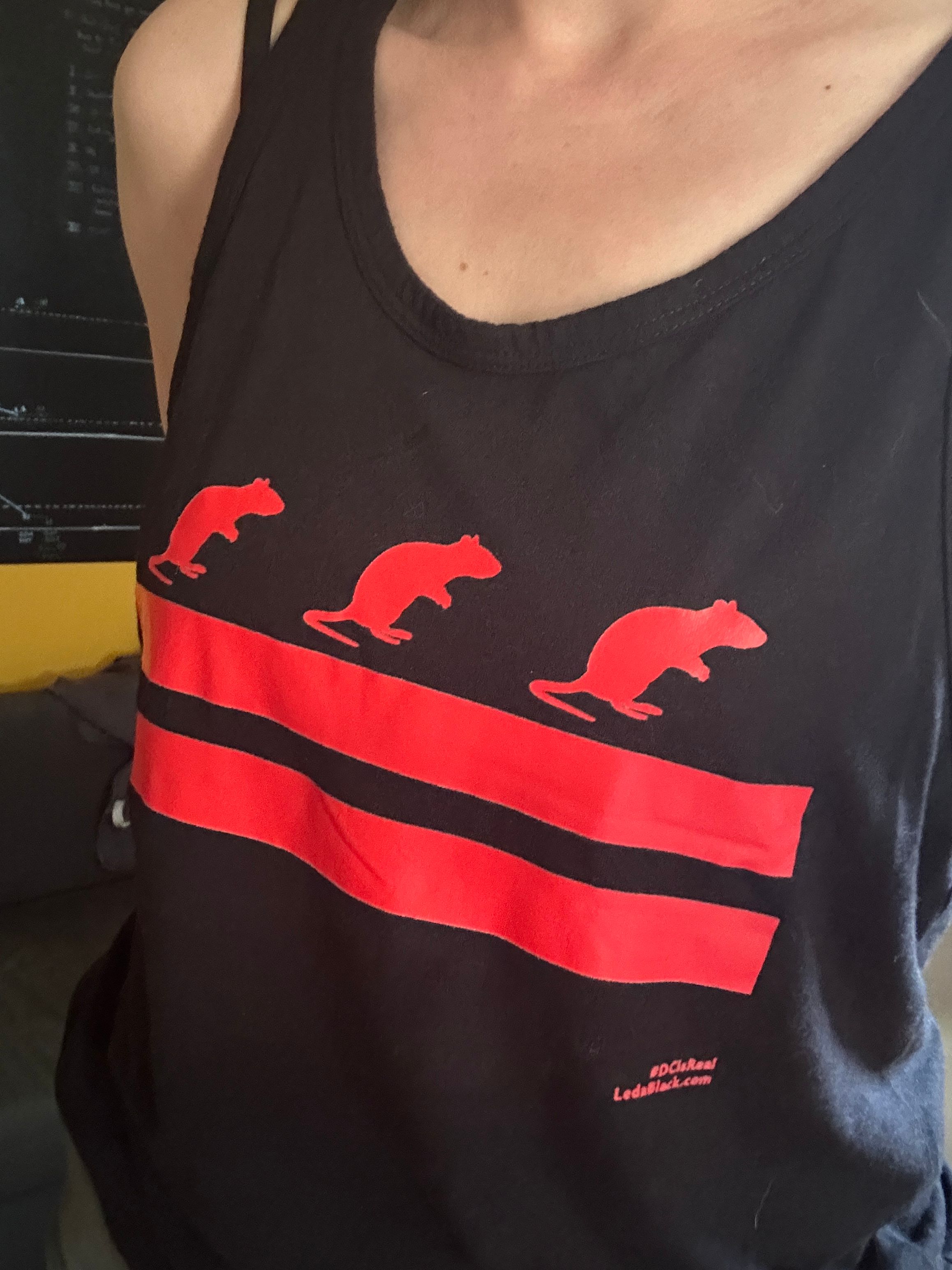 A woman's torso in a black tank top. The tank top has the DC flag, with rats instead of stars. 