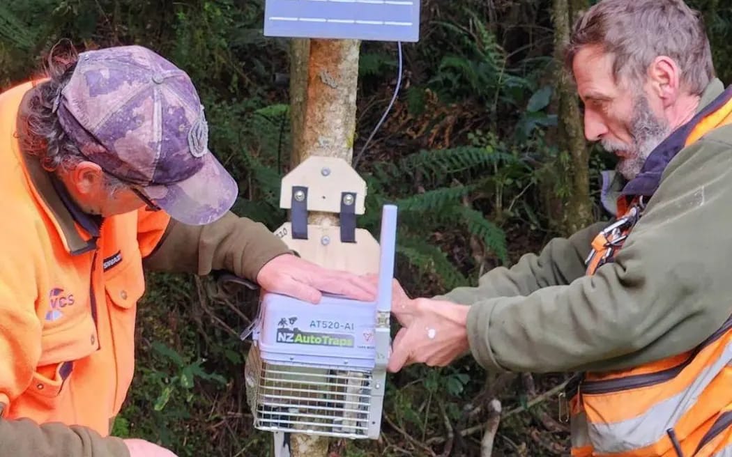 NZ Auto Traps has designed a trap that turns off during the day to avoid killing native birds, and can reset itself. Photo: Supplied/ NZ Auto Traps