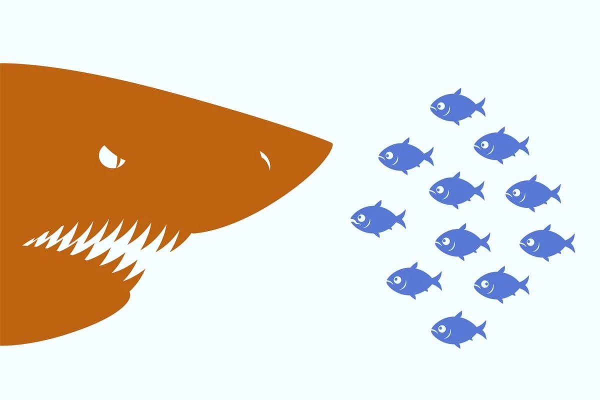 the-speedboat-advantage