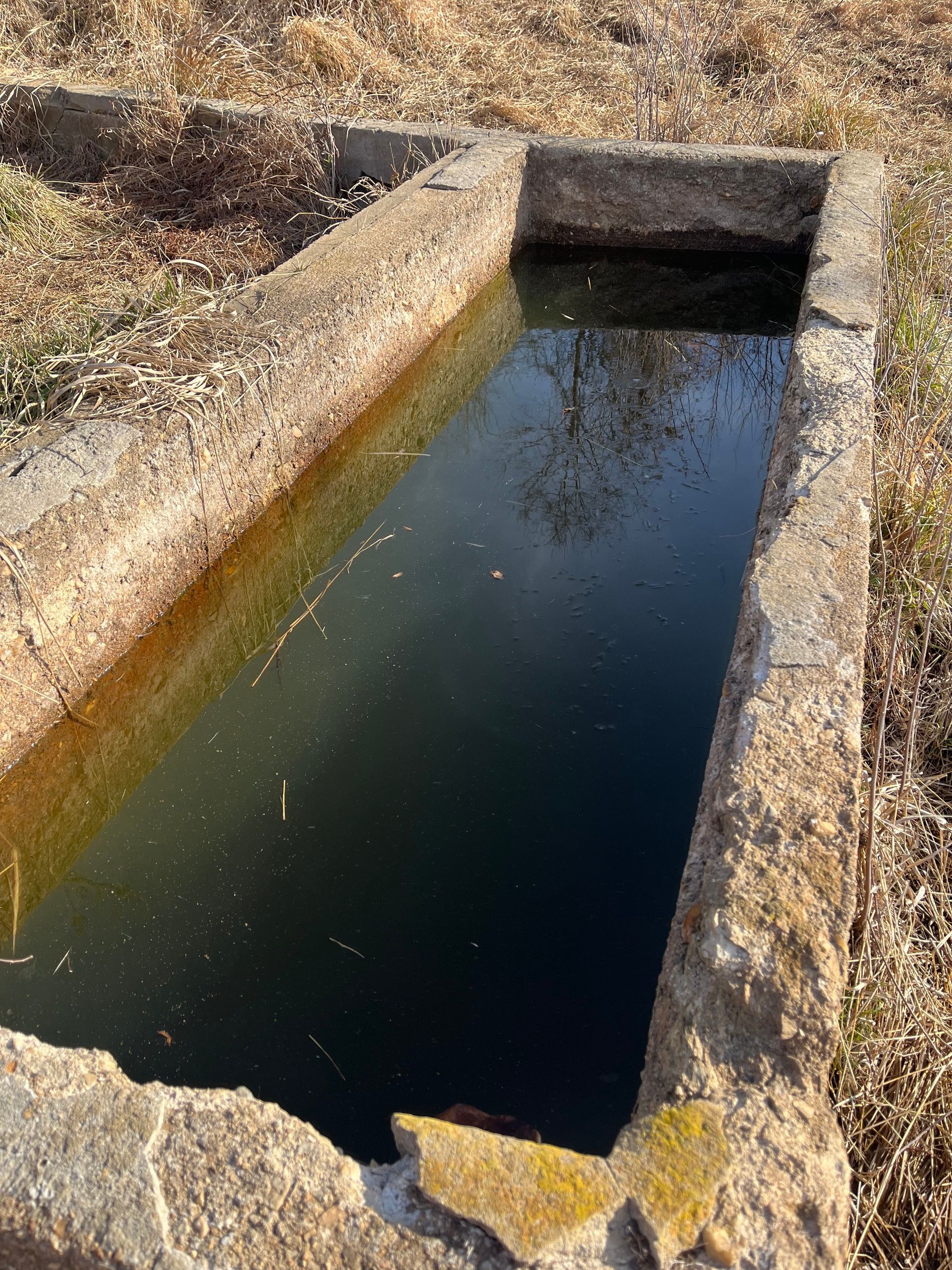 Closeup of concrete spring box, edges of which had eroded away somewhat. Filled with stagnant looking water.