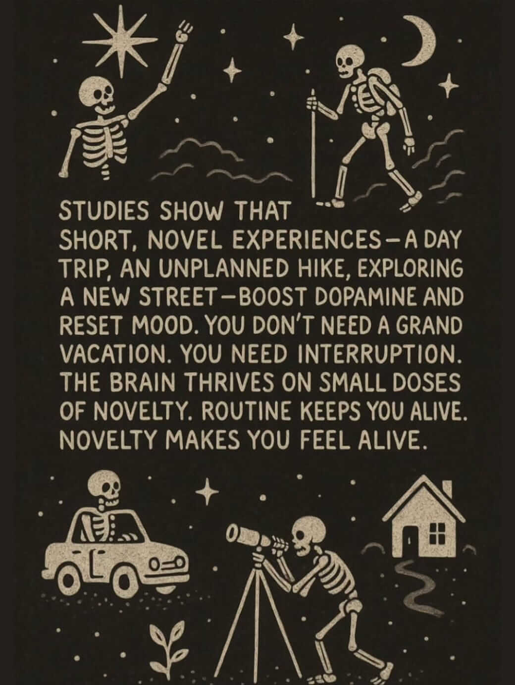 Studies show that short, novel experiences boost dopamine and reset mood. Routine keeps you alive. Novelty makes you feel alive.