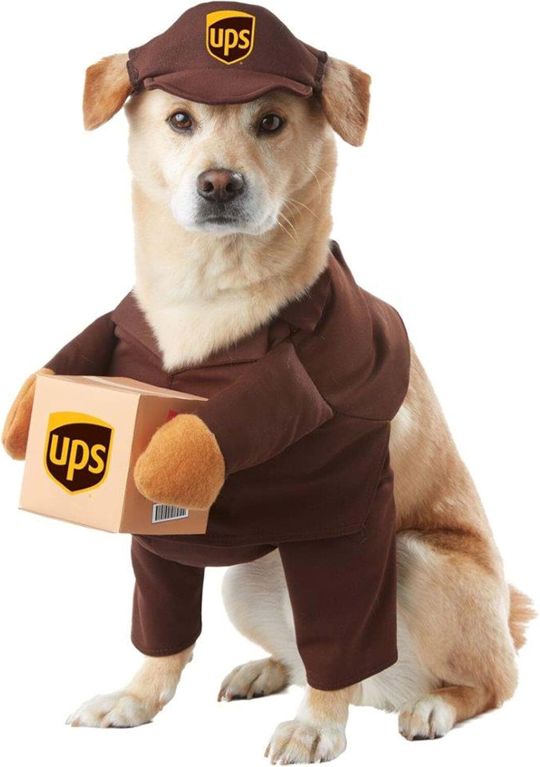 A medium-sized, light-brown dog sits upright, facing the camera, wearing a brown UPS uniform complete with a cap and a jacket featuring attached sleeves holding a small brown package. The image has a clean, professional look with a solid white background and a 16:9 landscape aspect ratio.