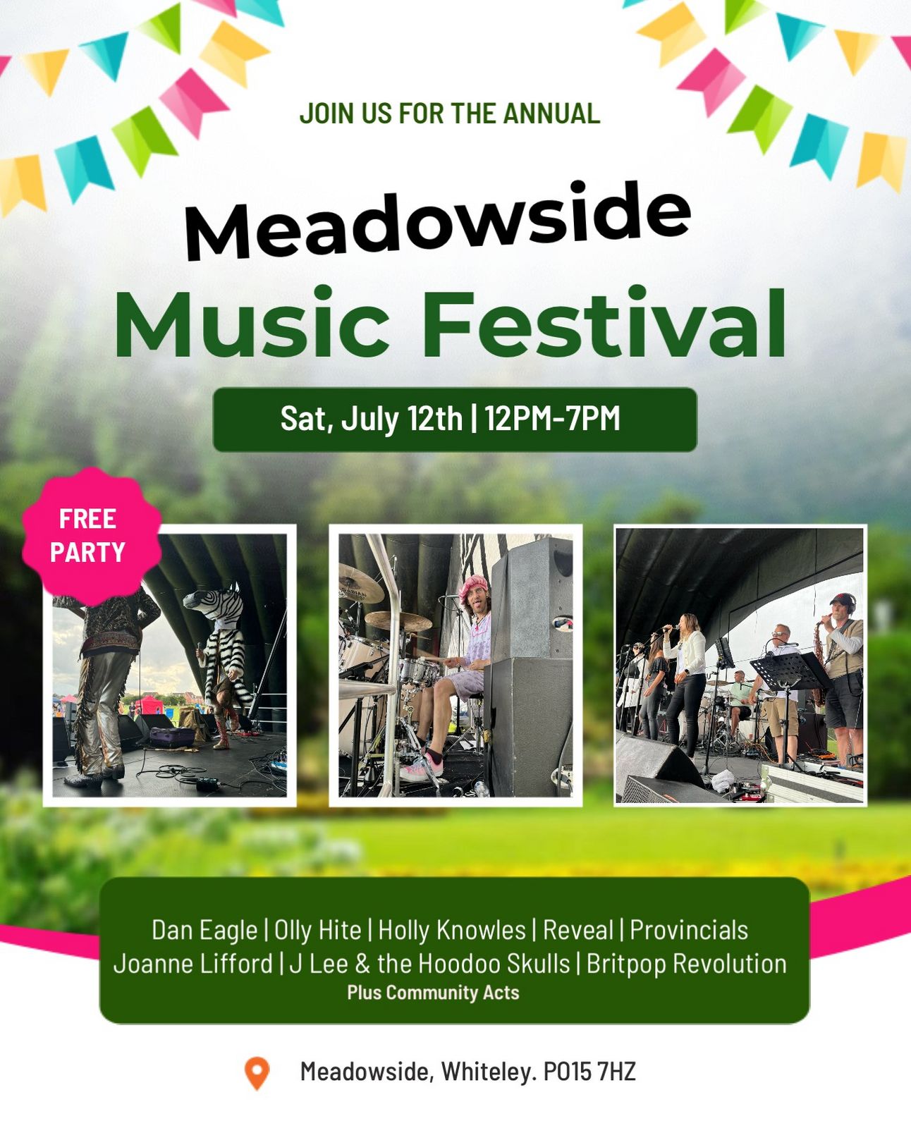 Meadowside music festival poster