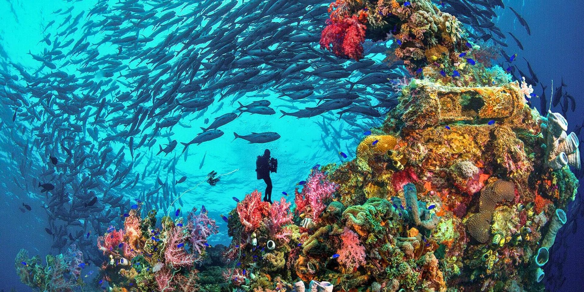 Wreck & Jack, Chuuk, Micronesia
