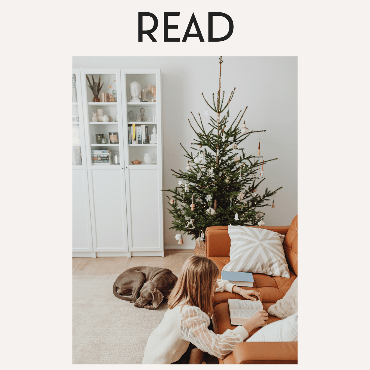 Frau sitzt neben Christbaum und Hund, liest entspannt