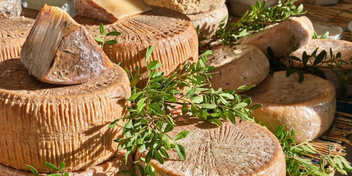 Close-up of a rustic wheel of casu marzu cheese on a wooden board