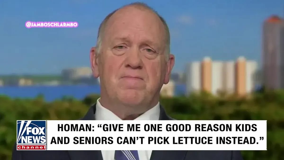 A fake Fox News chyron under Tom Homan, a balding white man in a suit, that says: "GIVE ME ONE GOOD REASON KIDS AND SENIORS CAN'T PICK LETTUCE INSTEAD." 