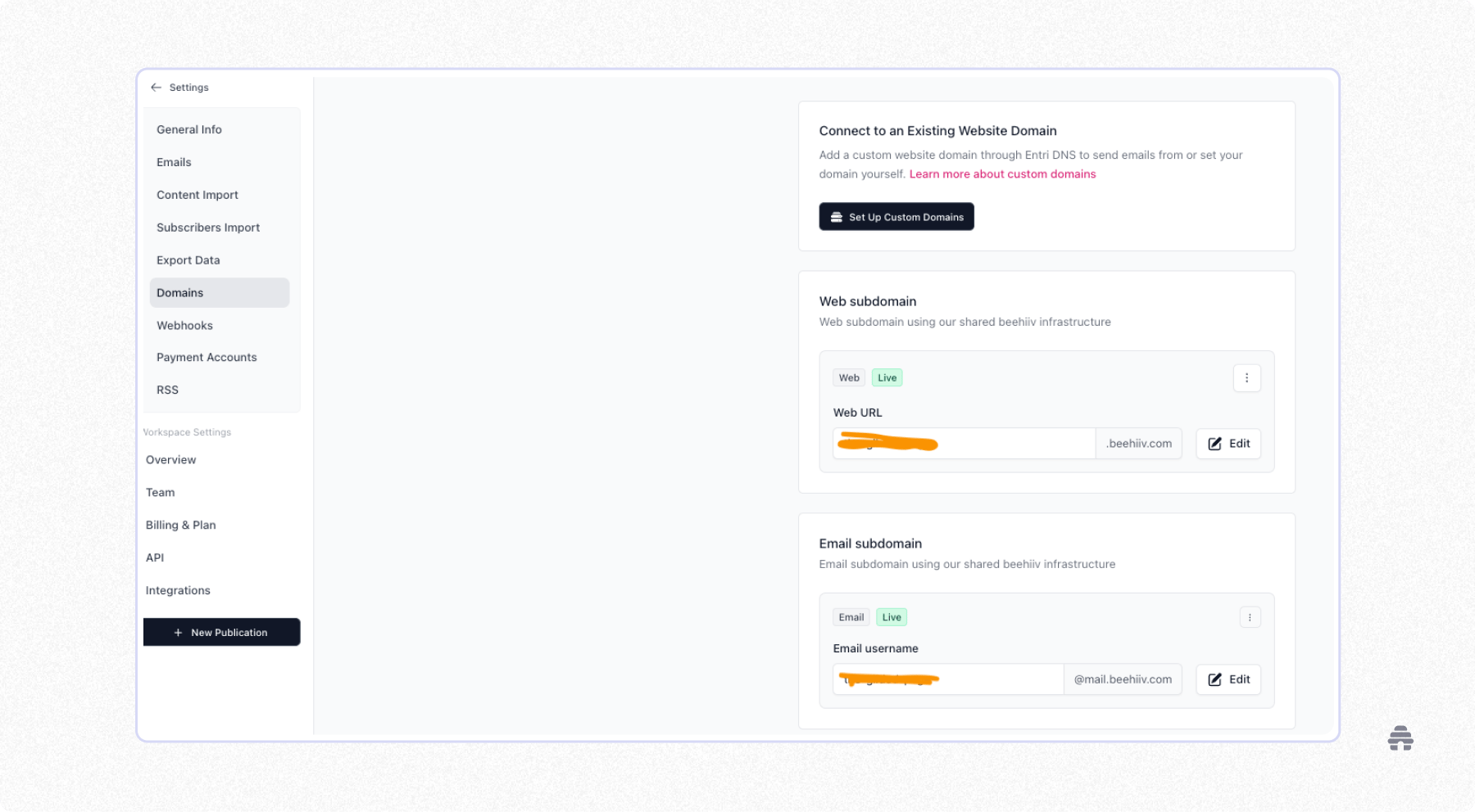 beehiiv settings screen showing domain configuration, including web and email subdomains connected for a newsletter using beehiiv’s shared infrastructure