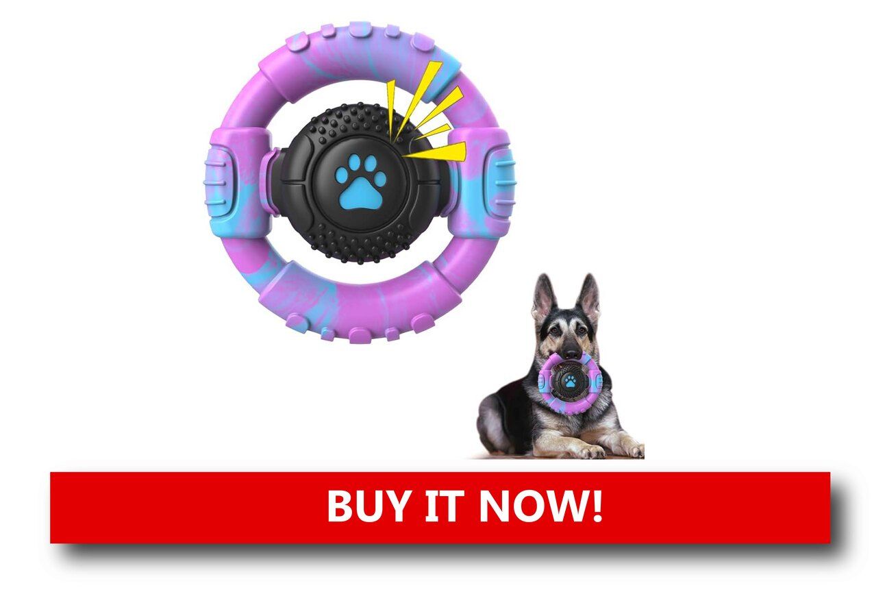 Indestructible Dog Chew Toys for Aggressive Chewers Alt text: A tough rubber and nylon dog toy with textured surfaces and a built-in squeaker, placed next to a large dog ready to play on a holiday-themed rug.