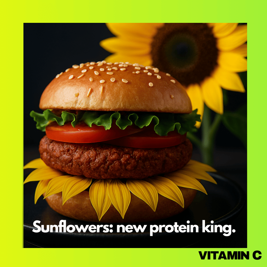 A plant-based burger made from sunflower flour, resting on sunflower petals, highlighting new sustainable protein sources – taken from Vitamin C newsletter, written by Lia Carlucci