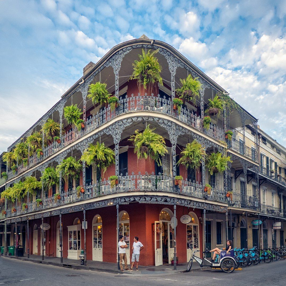 Ferns in the French Quarter.