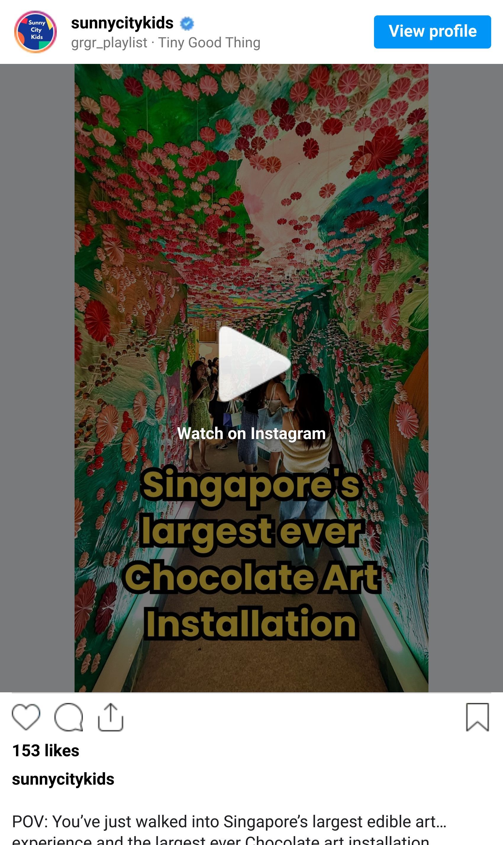 Instagram Reel