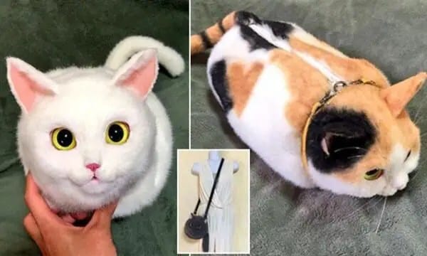 600x360xPico-cat-handbags-600x360_jpg_pagespeed_ic_HS28ZvQI9p
