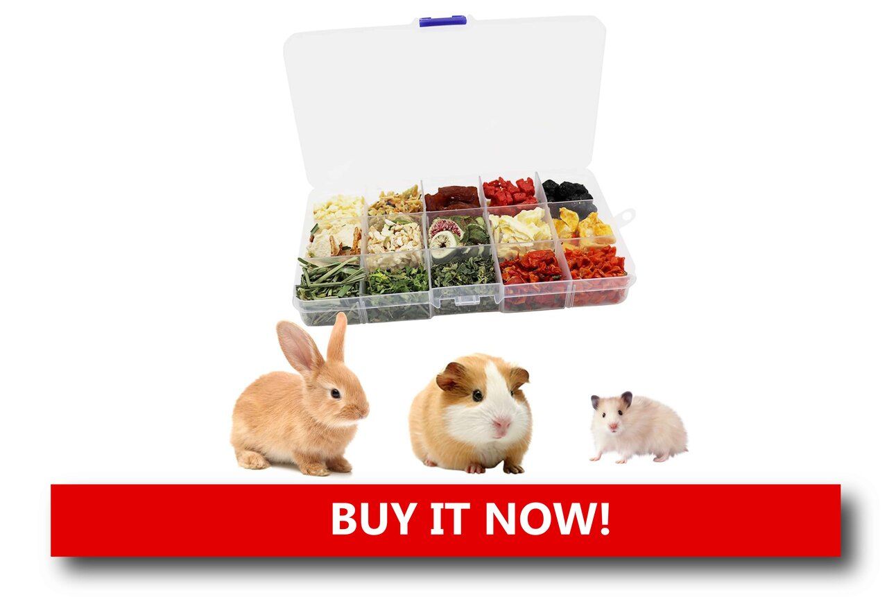 Ferret Treat Sampler Box Alt text: A festive gift box filled with individually packaged ferret treats like chicken bites and salmon twists, arranged with a holiday bow.