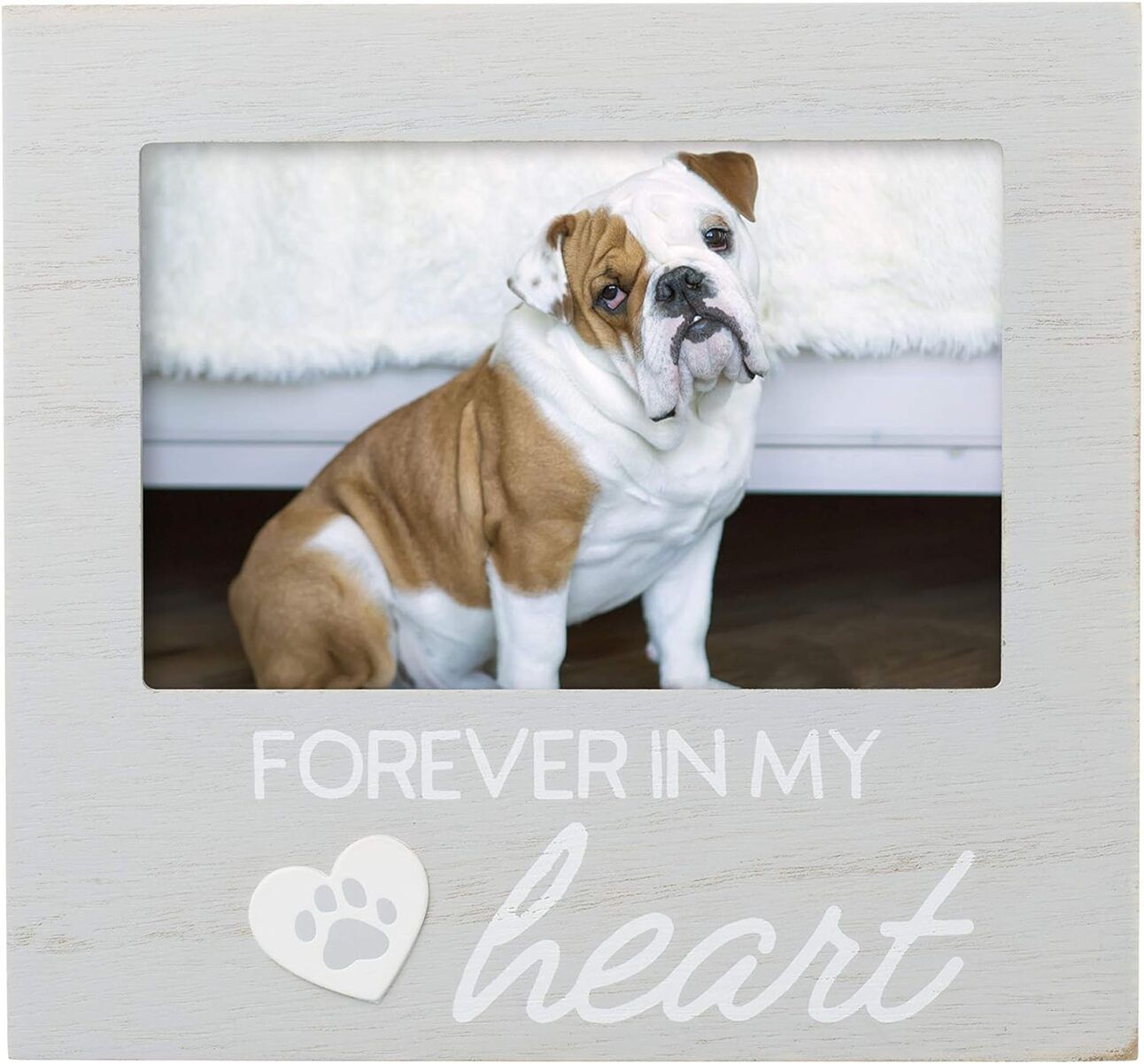 Photo Frame for Her & Her Pet A rustic wooden photo frame on a bedside table displaying a sweet moment between a woman and her pet, with the inscription “My Favorite Hello Has Paws.”