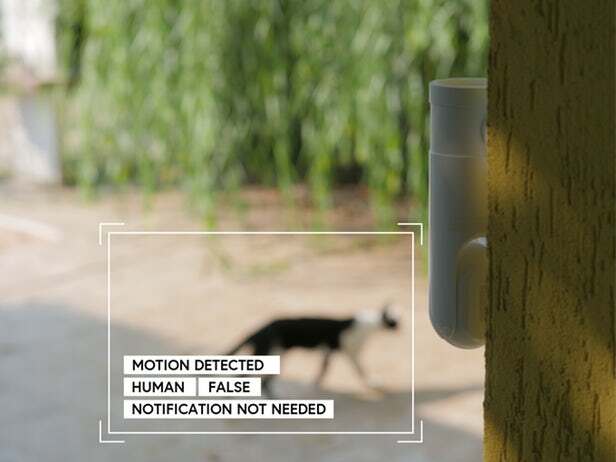 Eyecloud Cam won't waste time recording feline intruders