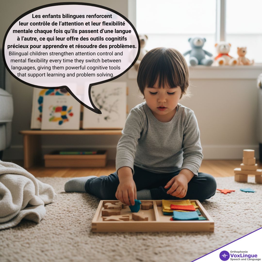 Bilingual Exposure Strengthens Executive Functioning Skills | L’exposition au Bilinguisme Renforce le Fonctionnement Exécutif