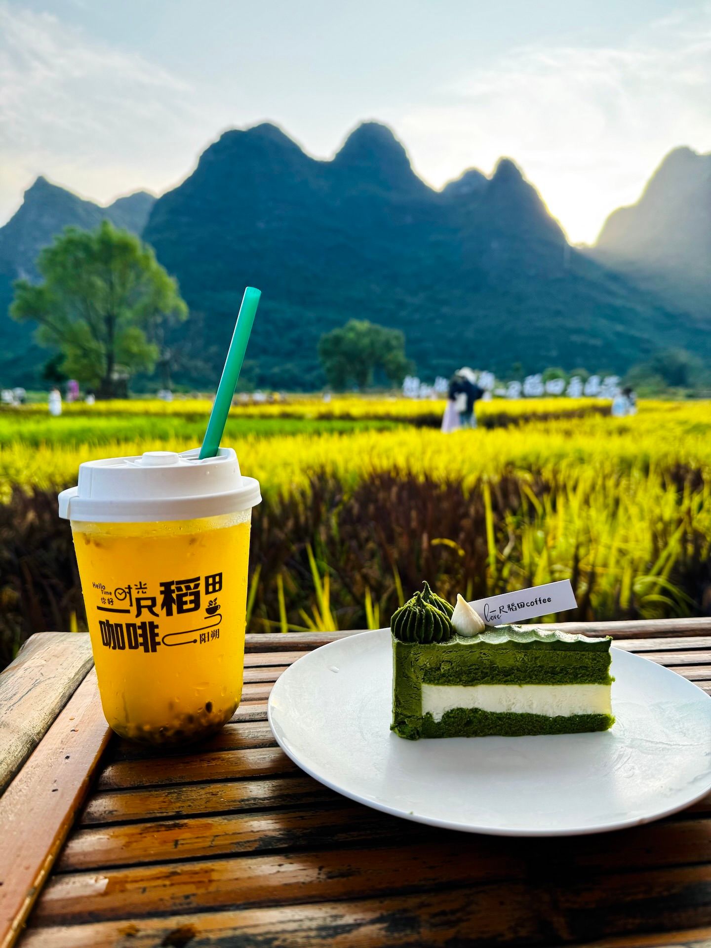 View of karst mountains from One Foot Rice Paddy Cafe