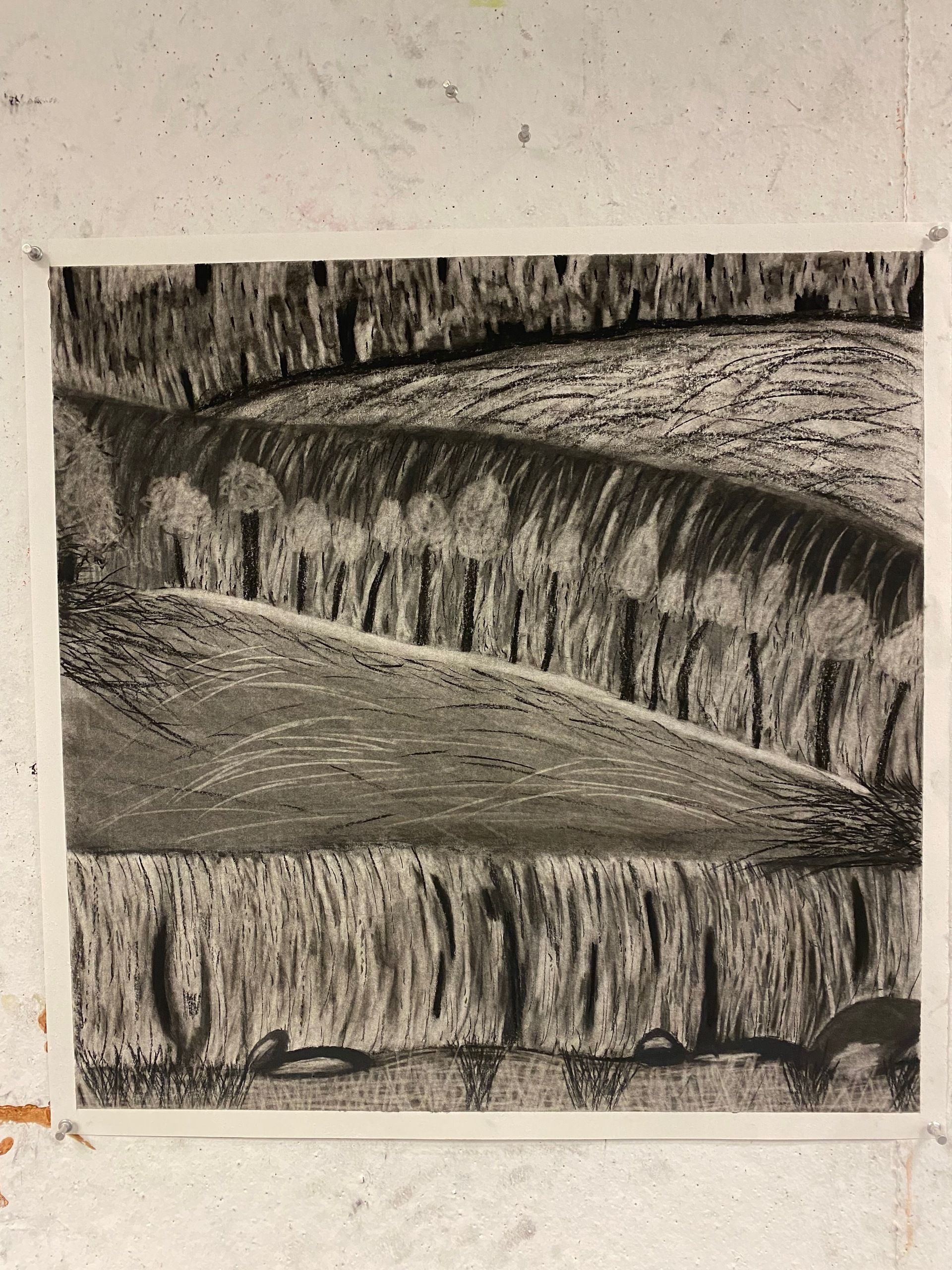 An abstract charcoal drawing that looks like stylized hills with lies of trees between them..