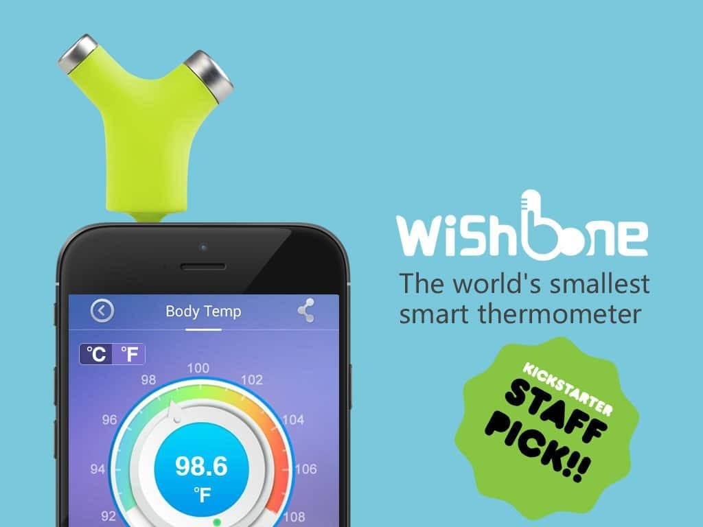 Wishbone connected thermometer