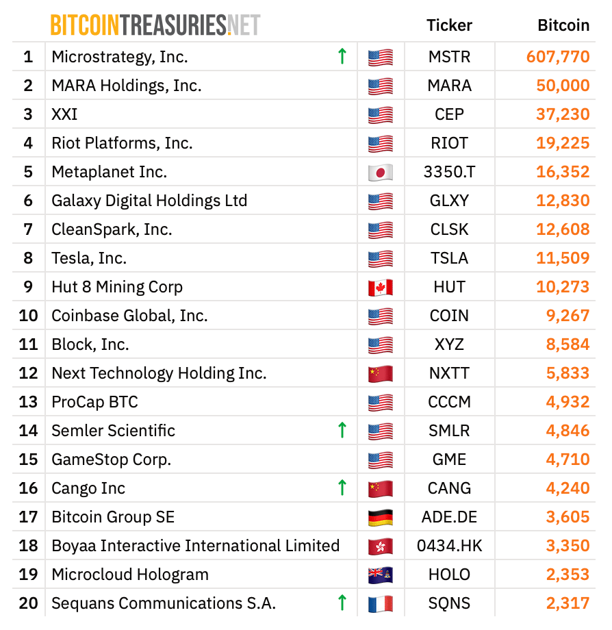 Leaderboard snapshot