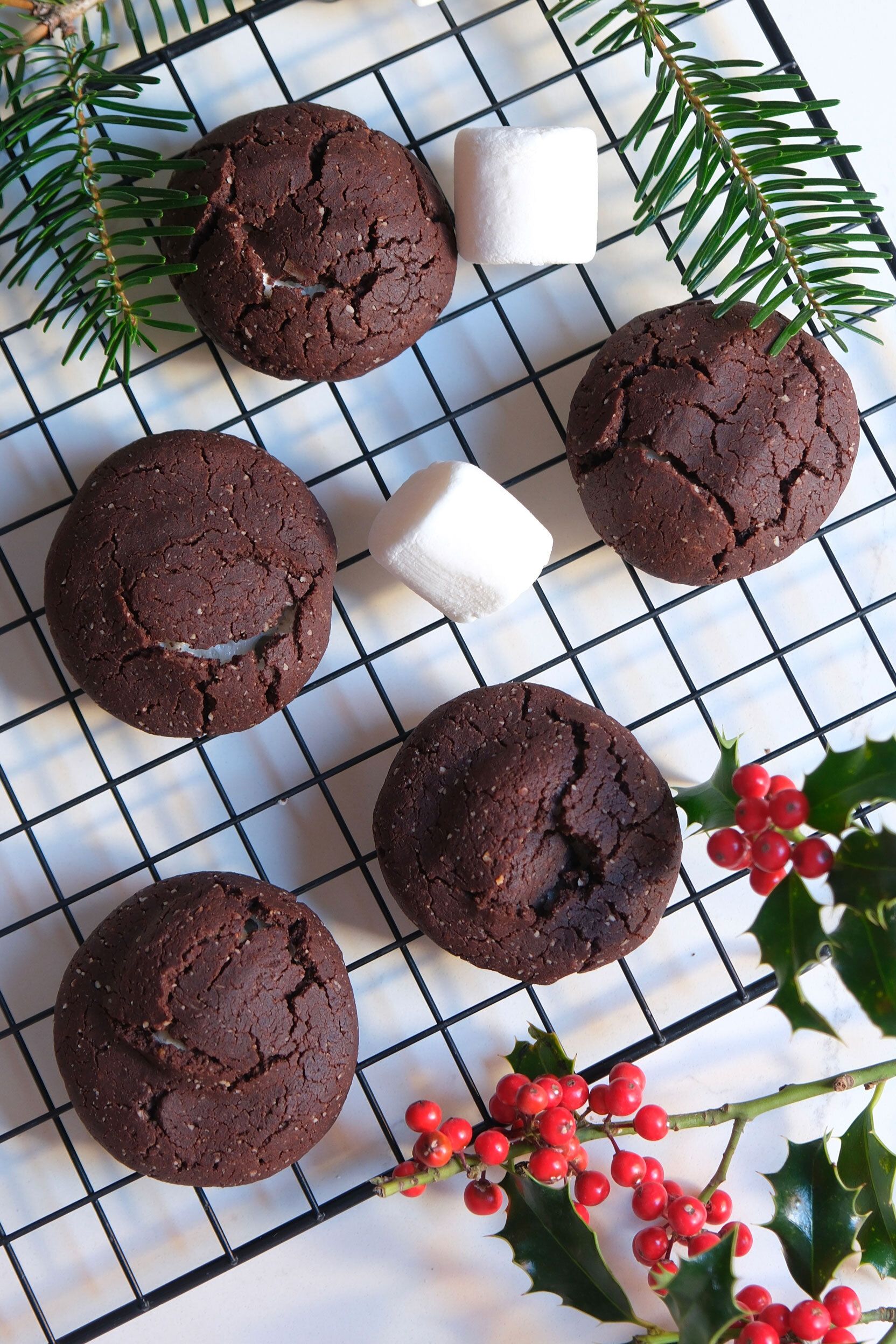 Cocoa Cookies with Marshmallows