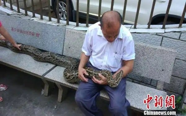 shi-jiming-python3