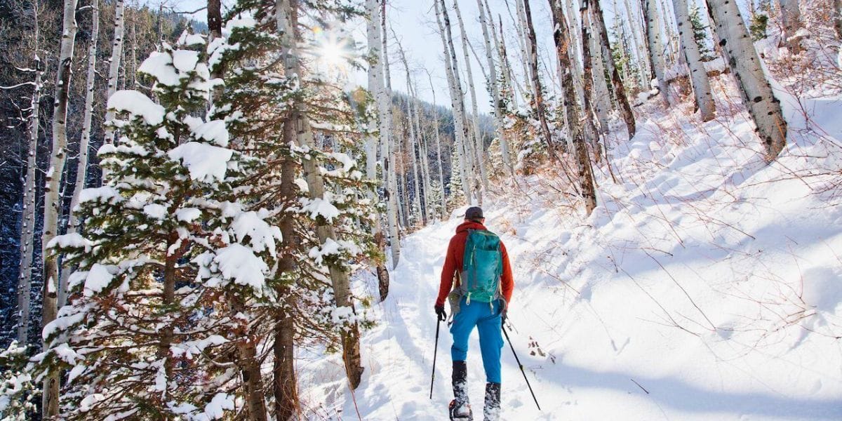 snowshoeing in the forest