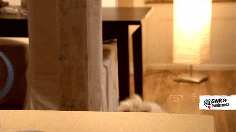Stell deinen Hund oder deine Katze in deinem Newsletter vor. Keine schlechte Idee, oder? Immerhin begleitet dich dein Vierbeiner jeden Tag bei der Arbeit an deinem Newsletter.