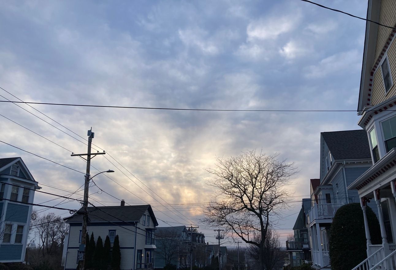 gentle, glowing clouds and a leaf-bare tree, with power lines crossing this way and that