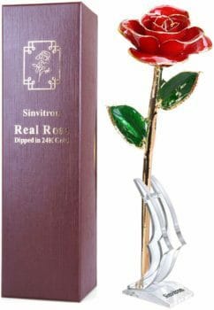 Gold-Dipped Rose
