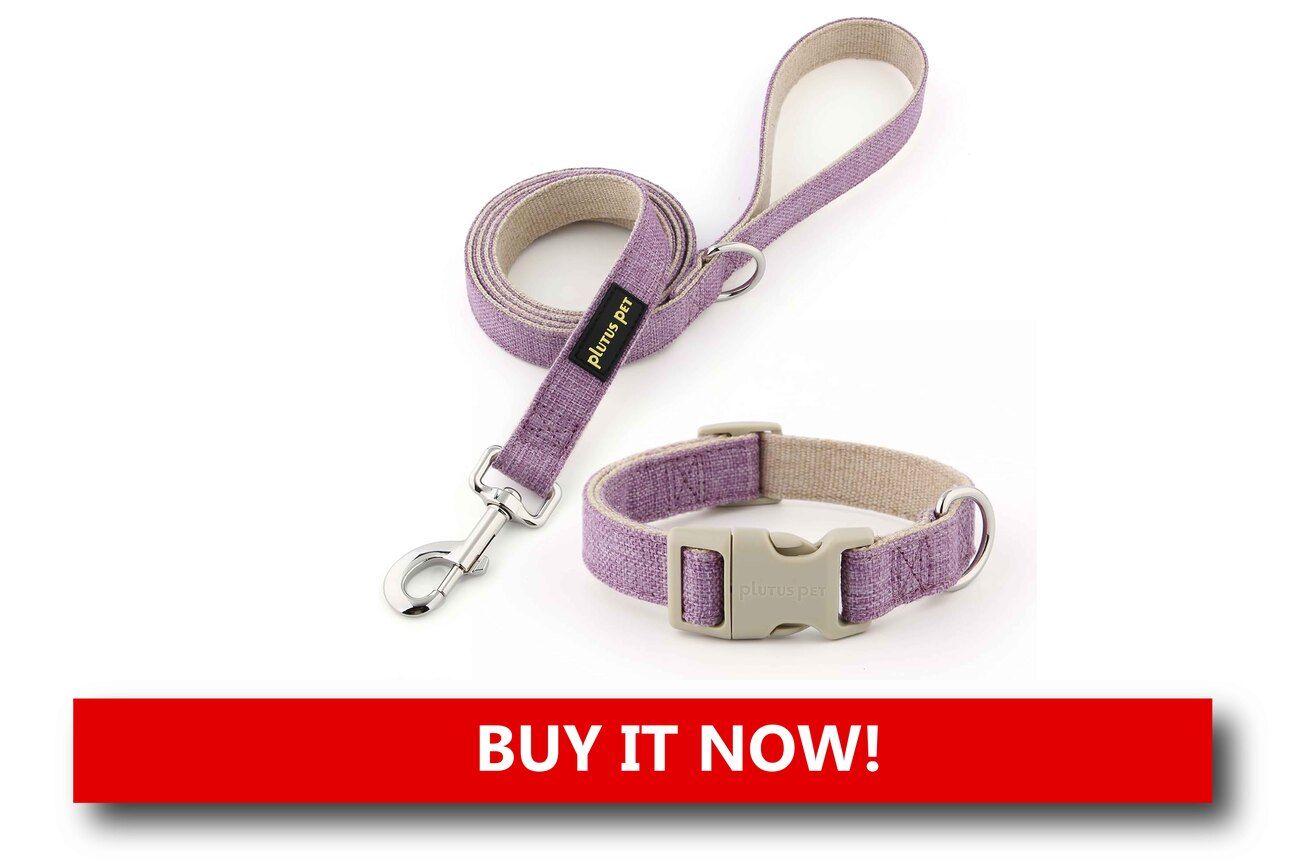 Hemp Collars and Leashes Alt text: A natural-colored hemp dog collar and matching leash with metal hardware, laid out on a jute fabric background with eco-friendly tags.