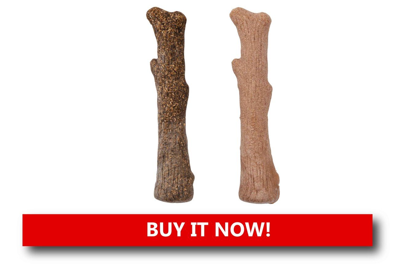 Natural Chew Toys and Bones Alt text: A selection of natural dog chews, including antlers, yak milk sticks, and olive wood bones, neatly arranged in a rustic woven basket.