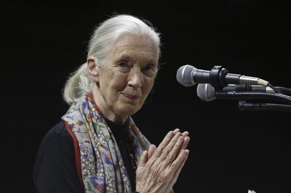 An elderly woman with white hair tied back stands at a microphone, hands pressed together in a gentle gesture of gratitude. She wears a black top with a colorful patterned scarf, looking warmly at the audience against a dark background.