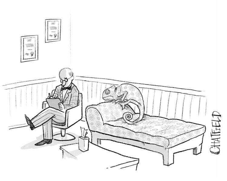 contest