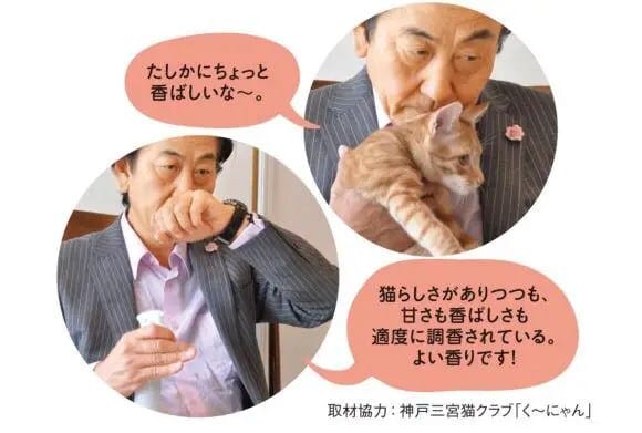 580x391xcat-forehead-smell2.jpg.pagespeed.ic.BIsz2W_OZe