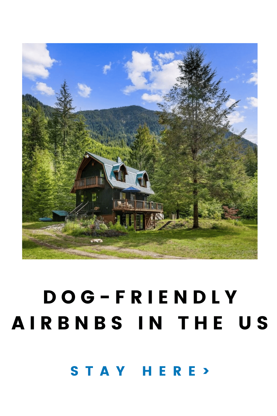 Create Pawsome Memories at the Most Dog-Friendly Airbnbs in the US