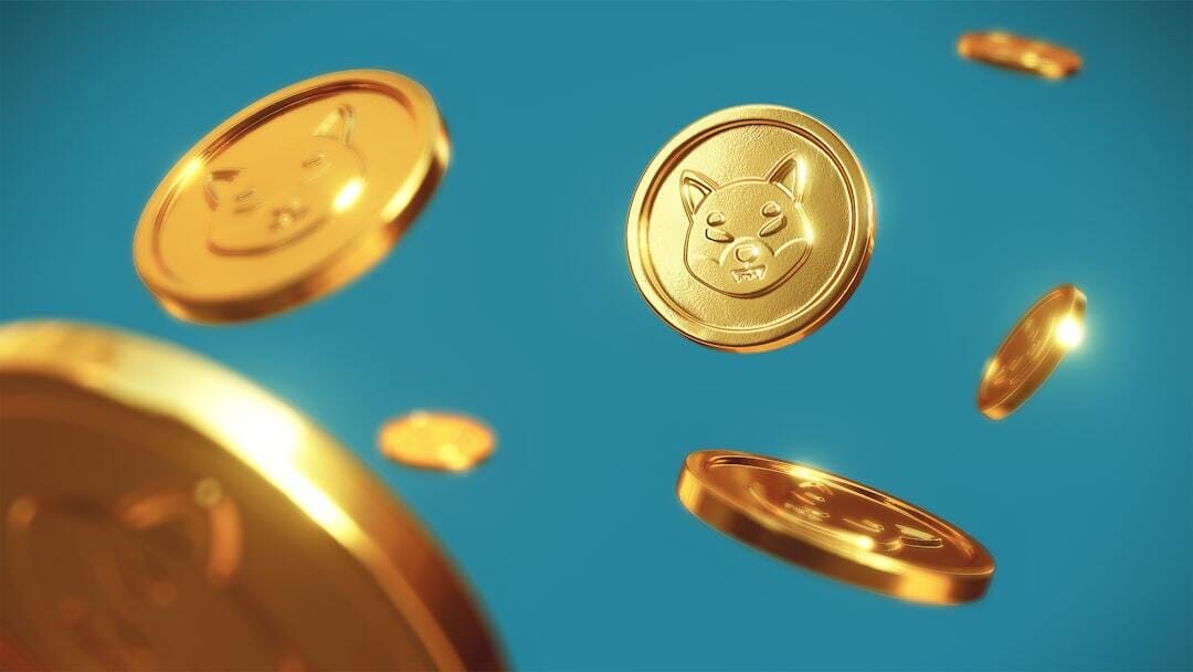 Shiba Inu coin concept.