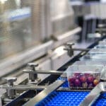 Food Products Boxs Transfer On Automated Conveyor Systems Indust