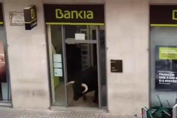 Hidden-charges-Bull-vanishes-into-bank-during-Spanish-festival