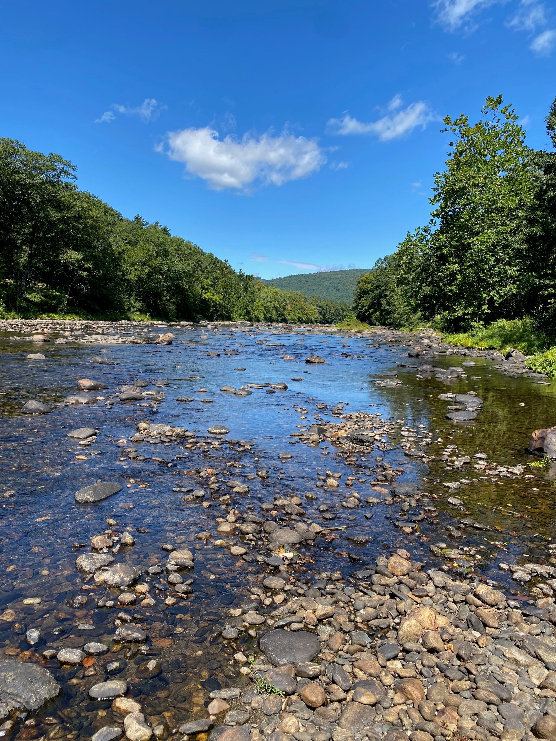 The West River, a wide, rocky, shallow river, with trees on either bank and hills in the distance under a blue sky.