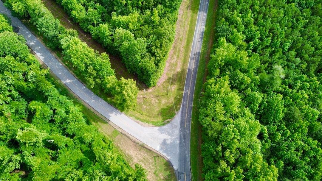 Overhead shot of Mouth of the Creek Road